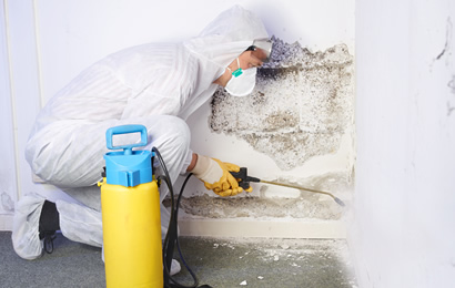 Descupinização Proter Control - Controle de Pragas Urbanas | Dedetização e Sanitização